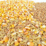 multigrain