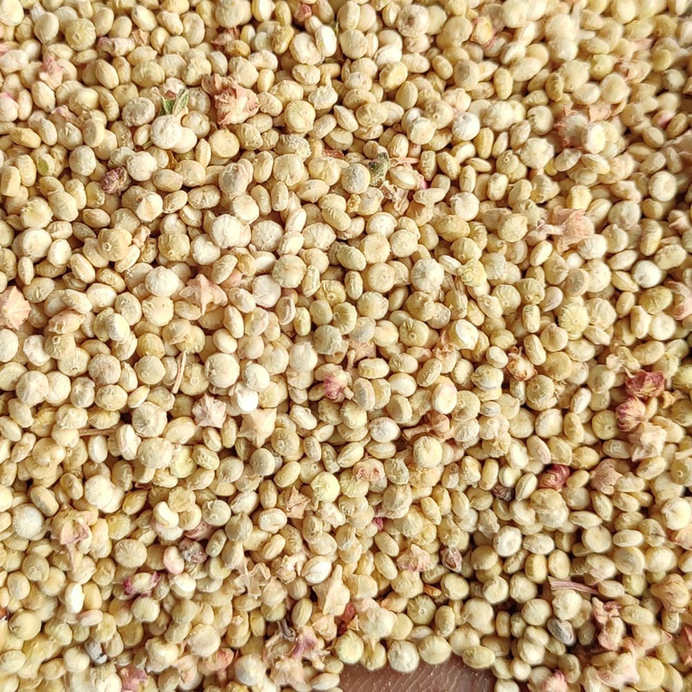 quinoa-seeds